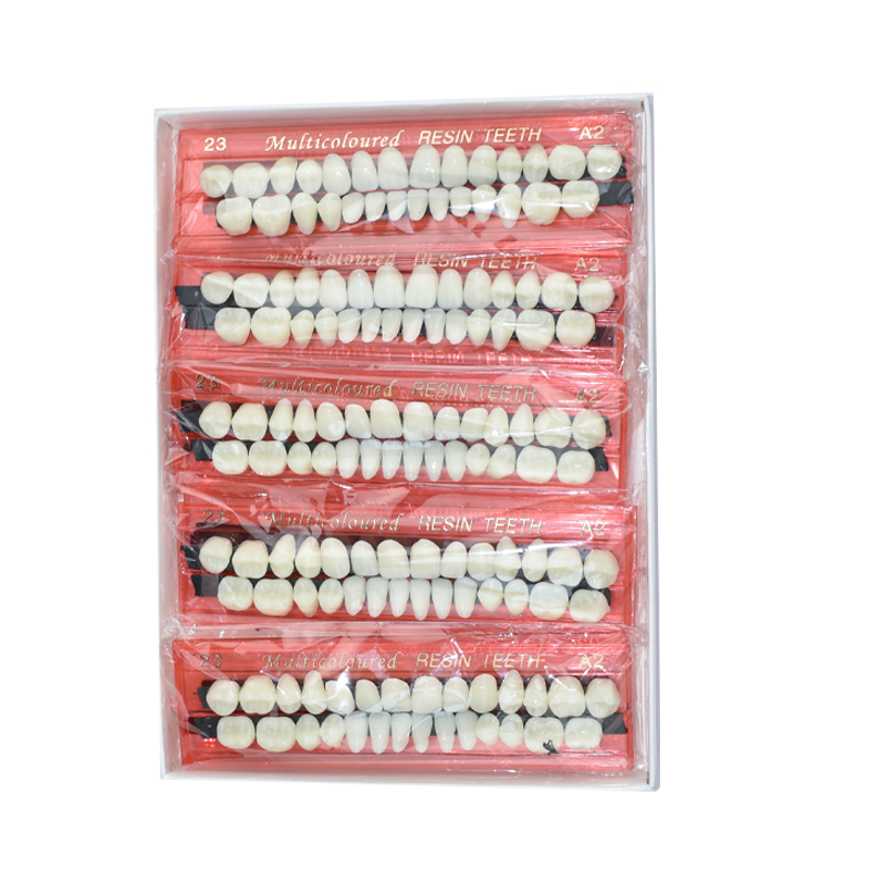 28 Teeth Dental Resin Denture  - Teeth Whitening Flash recension och pris