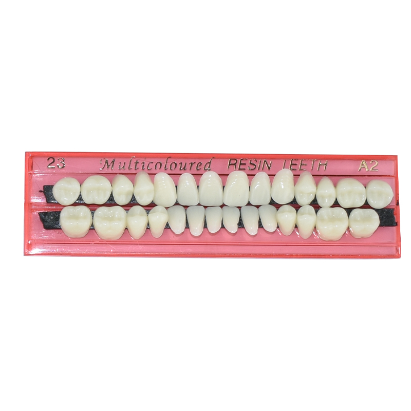 28 Teeth Dental Resin Denture  - Teeth Whitening Flash recension och pris