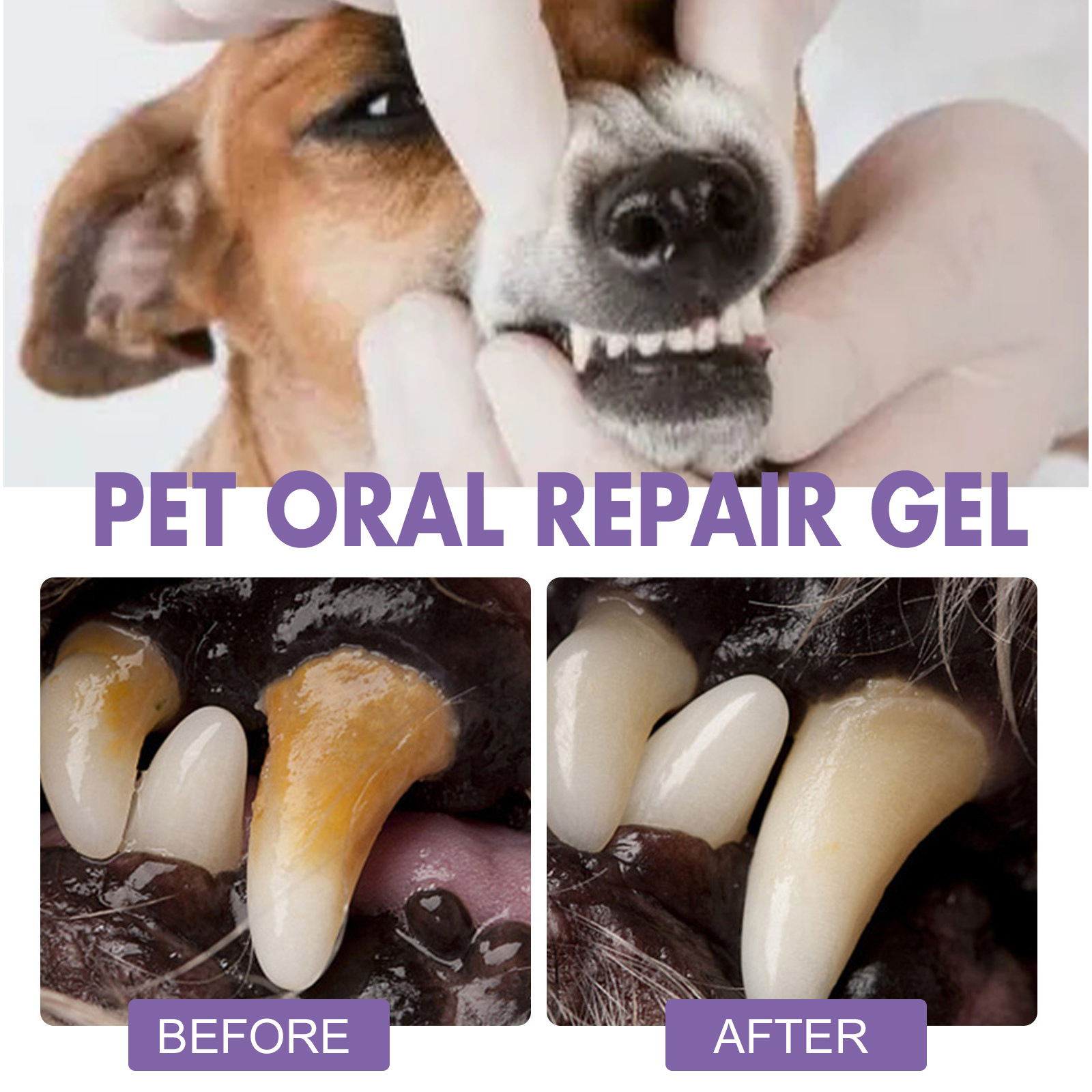 Pet Oral Repair Gel Puppy Tart - Teeth Whitening With Peroxide recension och pris